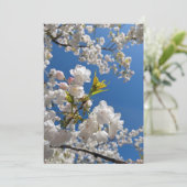 Frühlings-Kirschblüten Einladung (Stehend Vorderseite)