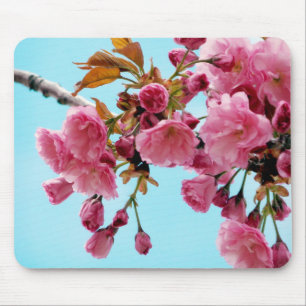 Frühlings-Kirschen Mousepad