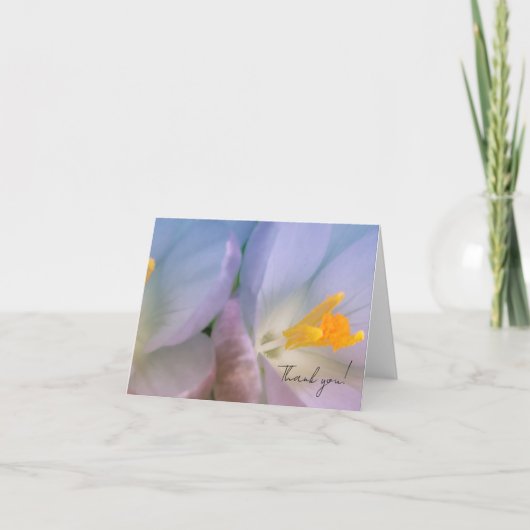 Frühlings-Krokus-Fotografie Dankeskarte (Vorderseite)
