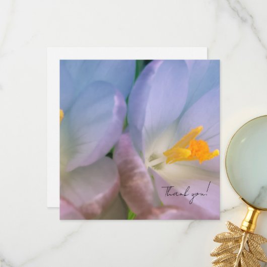 Frühlings-Krokus-Fotografie Dankeskarte (Vorderseite/Rückseite Beispiel)