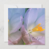 Frühlings-Krokus-Fotografie Dankeskarte (Vorderseite)