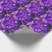 FRÜHLINGS-KROKUS GESCHENKPAPIER (Ecke)