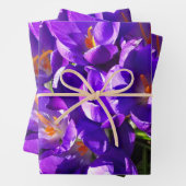 FRÜHLINGS-KROKUS GESCHENKPAPIER SET (Beispiel)