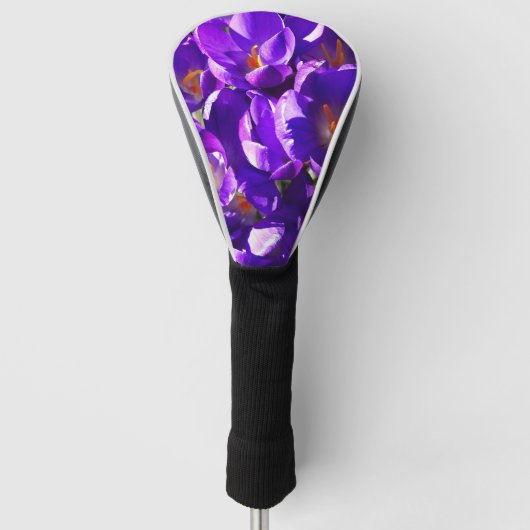 FRÜHLINGS-KROKUS GOLF HEADCOVER (Vorderseite)