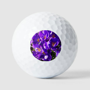 FRÜHLINGS-KROKUS GOLFBALL