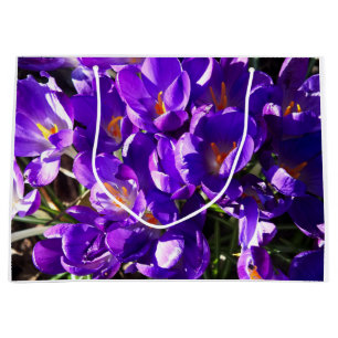 FRÜHLINGS-KROKUS GROßE GESCHENKTÜTE