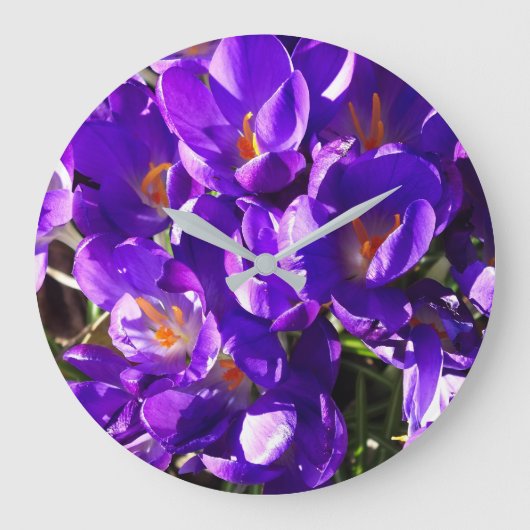 FRÜHLINGS-KROKUS GROßE WANDUHR (Vorderseite)