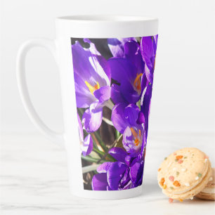 FRÜHLINGS-KROKUS MILCHTASSE