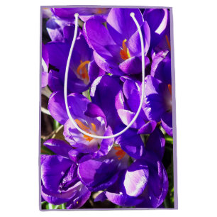 FRÜHLINGS-KROKUS MITTLERE GESCHENKTÜTE