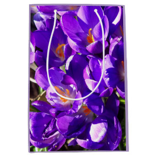 FRÜHLINGS-KROKUS MITTLERE GESCHENKTÜTE
