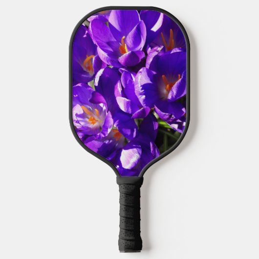 FRÜHLINGS-KROKUS PICKLEBALL SCHLÄGER (Vorderseite)