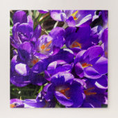 FRÜHLINGS-KROKUS PUZZLE (Horizontal)
