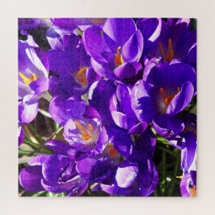 FRÜHLINGS-KROKUS PUZZLE