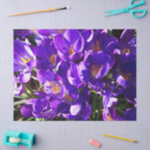 FRÜHLINGS-KROKUS SEIDENPAPIER (Basteln)