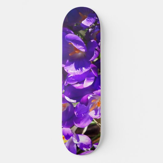 FRÜHLINGS-KROKUS SKATEBOARD (Vorderseite)