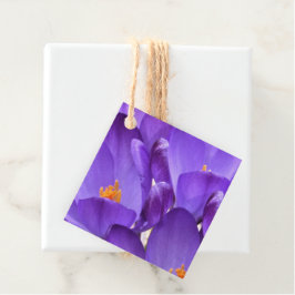 Frühlings-Krokusblumen Geschenkanhänger