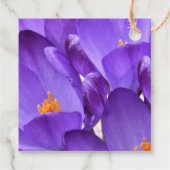 Frühlings-Krokusblumen Geschenkanhänger (Rückseite)