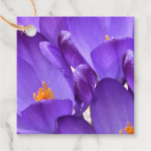 Frühlings-Krokusblumen Geschenkanhänger (Vorderseite)