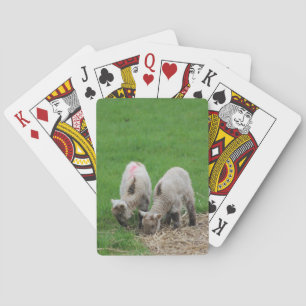 Frühlings-Lämmer Spielkarten