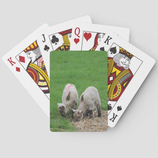 Frühlings-Lämmer Spielkarten (Rückseite)