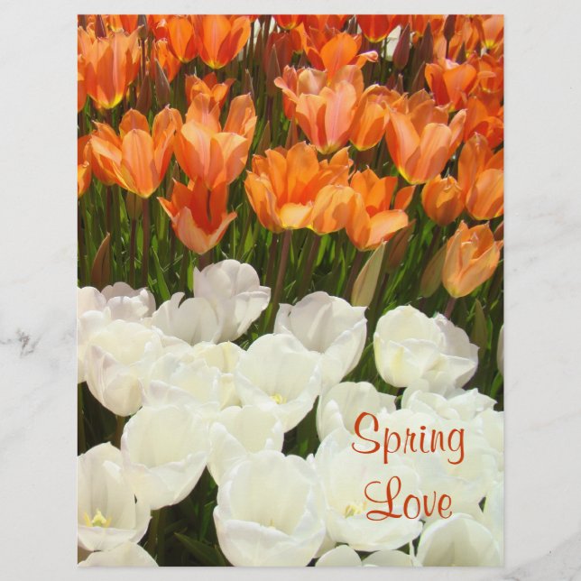 Frühlings-Liebe-Einklebebuch-Papier-Tulpe-Blumen (Vorderseite)