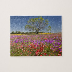 Frühlings-Mesquitebäume wachsen in Wildblumen, Puzzle