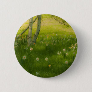 Frühlings-Narzissen Button