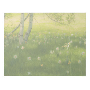 Frühlings-Narzissen Notizblock