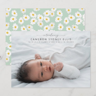 Frühlings-Pastell-Sage-Grün Gänseblümchen Baby-Fot Ankündigung