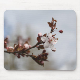 Frühlings-Pfirsichblüte Mousepad