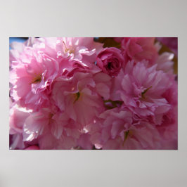 Frühlings-Plakat Poster