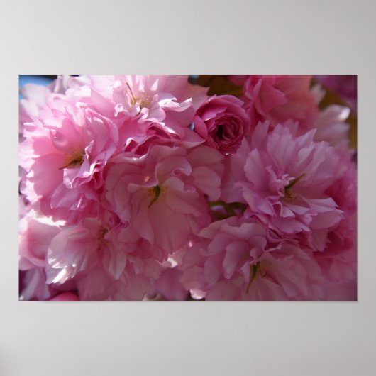 Frühlings-Plakat Poster (Vorne)