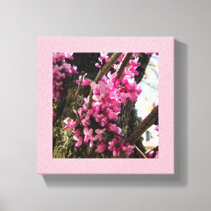 Frühlings-Rosa-Blume Leinwanddruck