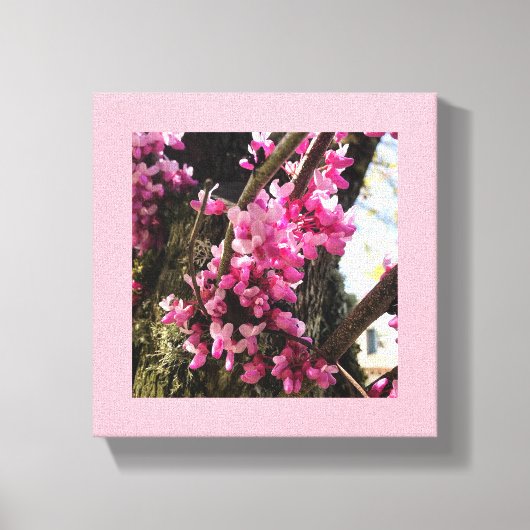 Frühlings-Rosa-Blume Leinwanddruck (Vorderseite)