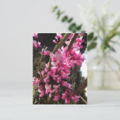 Frühlings-Rosa-Blume Postkarte (Stehend Vorderseite)