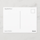 Frühlings-Rosa-Blume Postkarte (Rückseite)