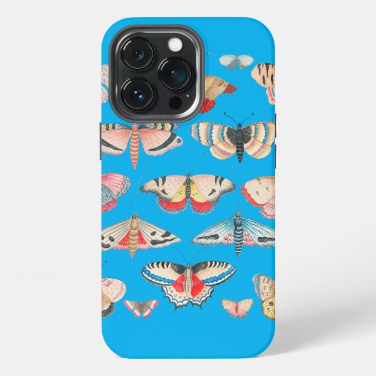 Frühlings-Schmetterlinge iPhone Hülle (Hinten)