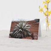 Frühlings-Schnee in Sedona Karte (Gelbe Blume)