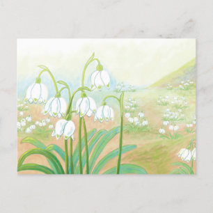 Frühlings-Schneeglöckchen, Leucojum vernum Illustr Postkarte