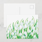 Frühlings-Schneeglöckchen Postkarte (Vorne/Hinten)