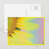 Frühlings-Sonnenblumen Postkarte (Vorne/Hinten)