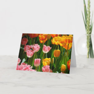 Frühlings-Tulpe-Karte Karte