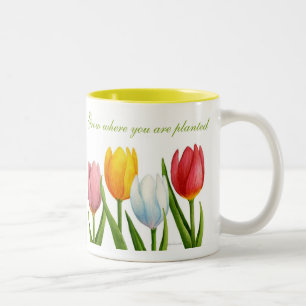 Frühlings-Tulpe-Tasse Zweifarbige Tasse