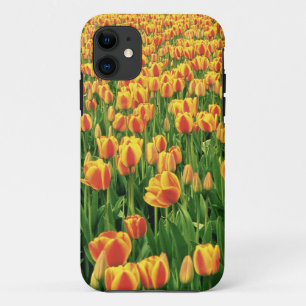 Frühlings-Tulpen blühen vor einer alten Scheune. Case-Mate iPhone Hülle