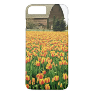Frühlings-Tulpen blühen vor einer alten Scheune. Case-Mate iPhone Hülle