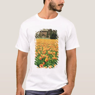 Frühlings-Tulpen blühen vor einer alten Scheune. T-Shirt