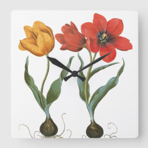 Frühlings-Tulpen-Blumen von Basilius Besler Quadratische Wanduhr