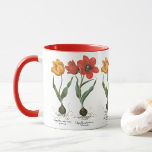 Frühlings-Tulpen-Blumen von Basilius Besler Tasse