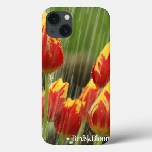 Frühlings-Tulpen Case-Mate iPhone Hülle (Rückseite)