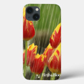Frühlings-Tulpen Case-Mate iPhone Hülle (Rückseite)